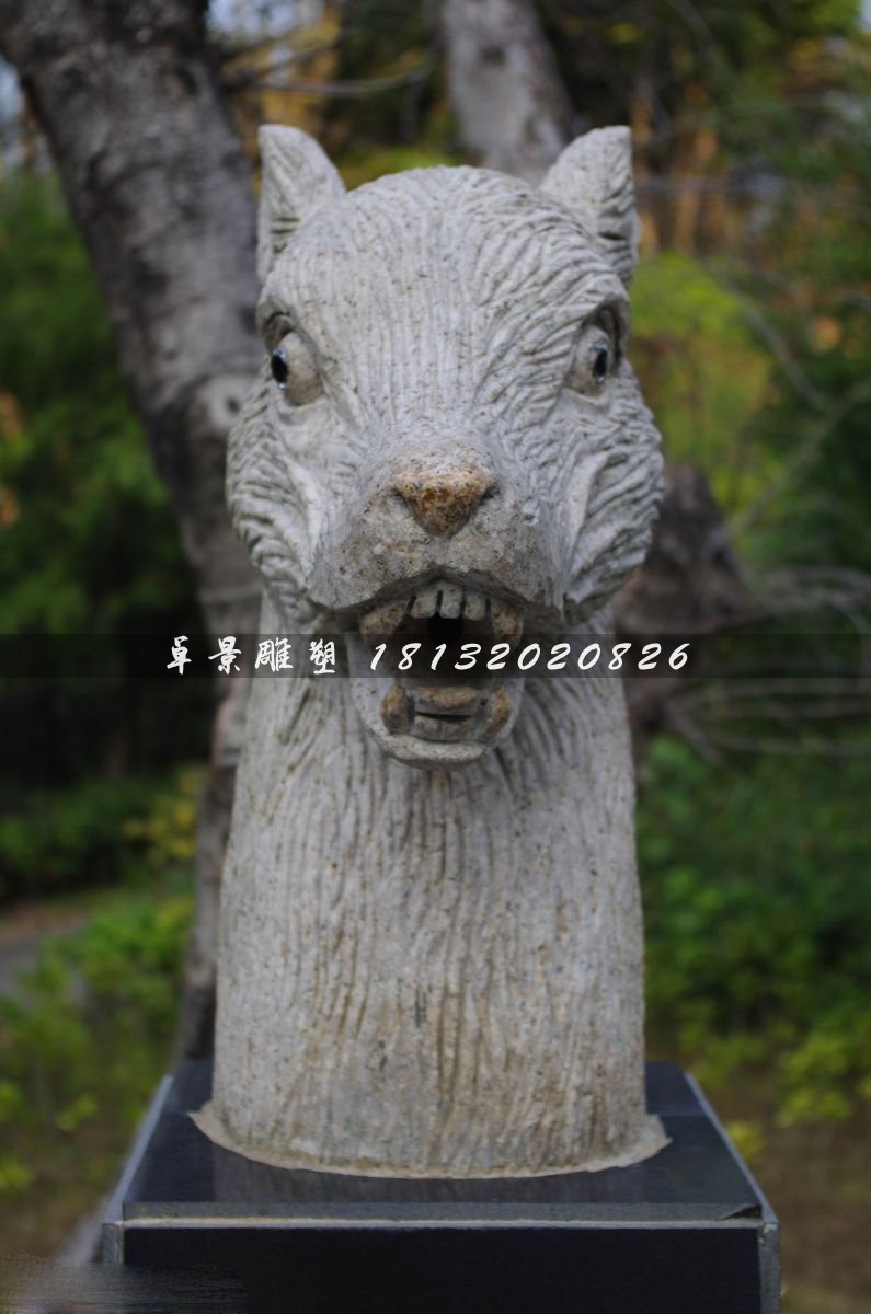 龙蛇鸡兔猴鼠羊,农家都有的动物是什么生肖请全面释义、解释与落实、构建解答解释落实